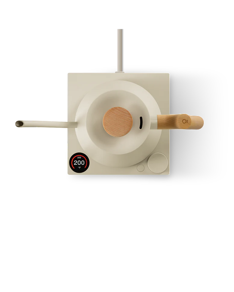 FELLOW Stagg EKG Electric Kettle